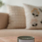 Golden Aura Candle